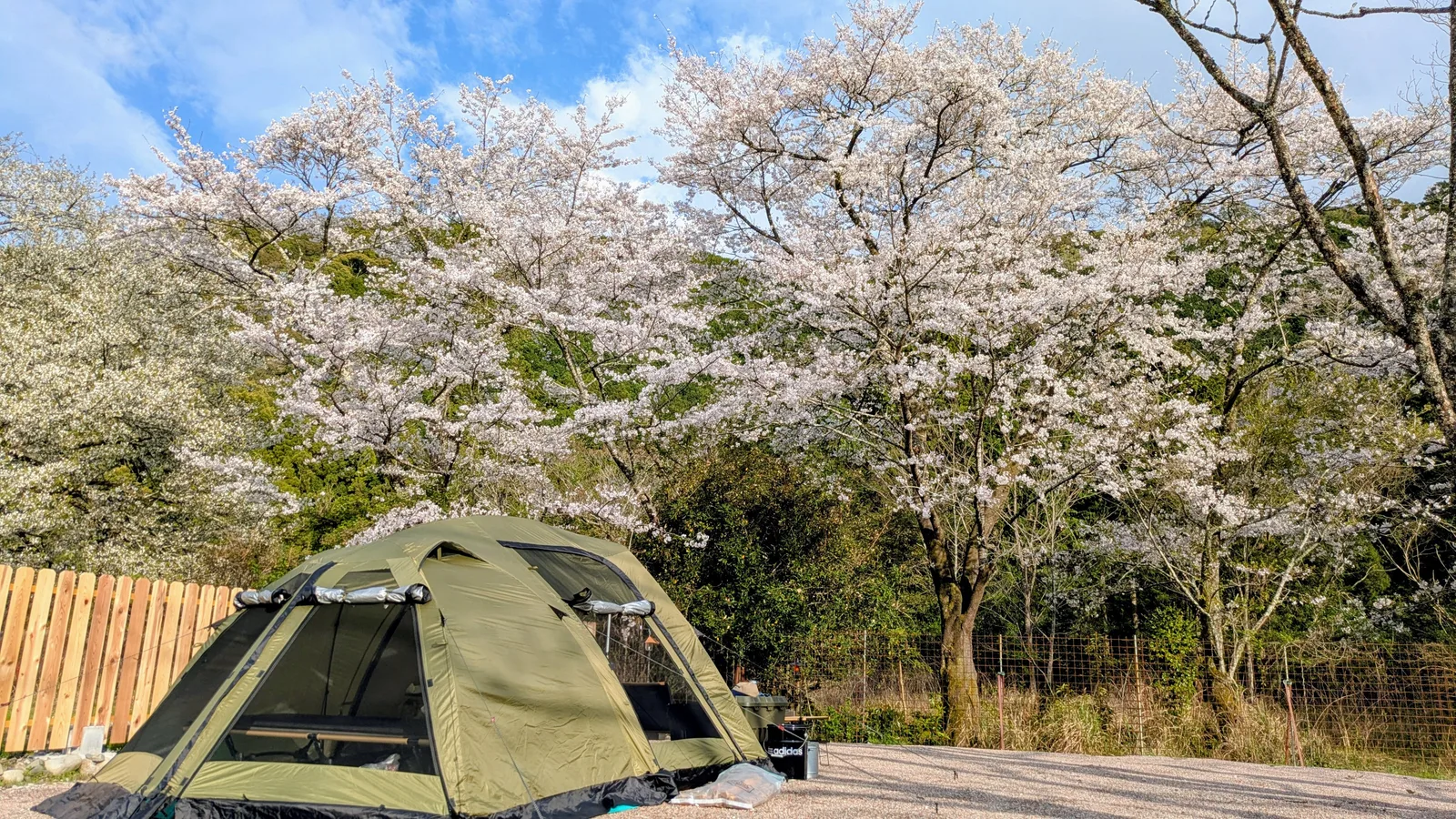 こもれびサイト【220㎡】 の写真 4