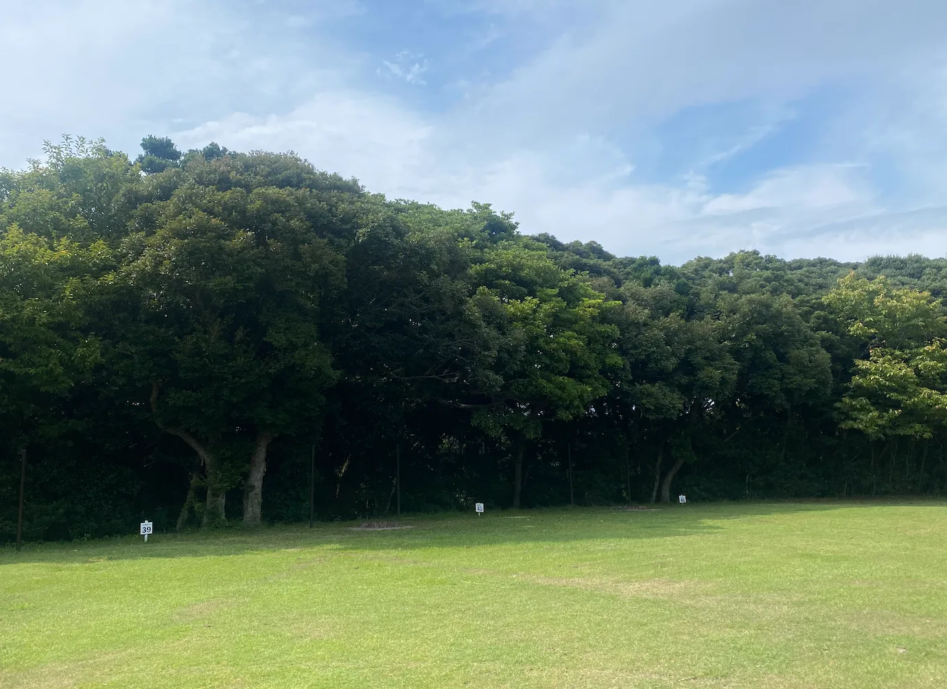 広々通常サイト(ハンモックポール付き) の写真 2