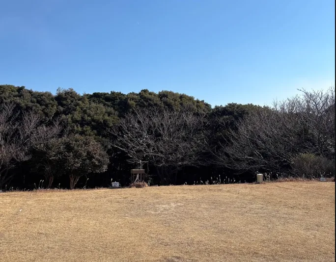 炊事場付き電源サイト の写真 1